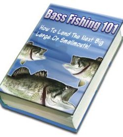 Bass Fishing 101