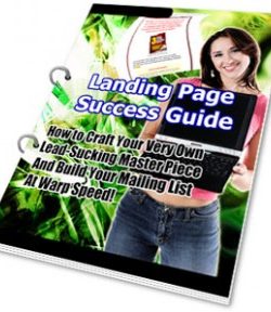 Landing Page Success Guide